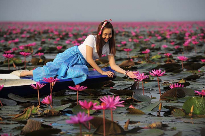 บัวแดง 8